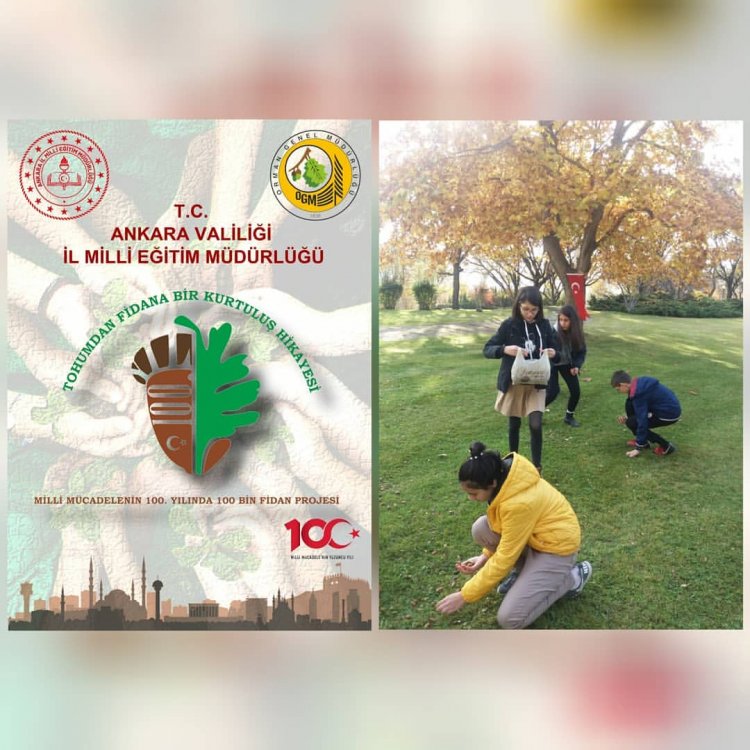 "Tohumdan Fidana Bir Kurtuluş Hikayesi