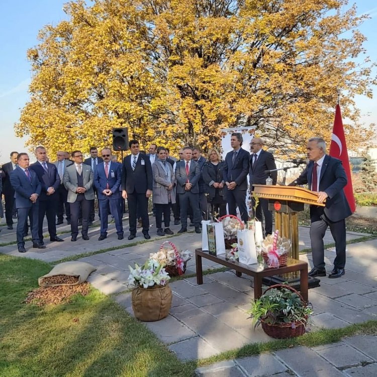 "Tohumdan Fidana Bir Kurtuluş Hikayesi