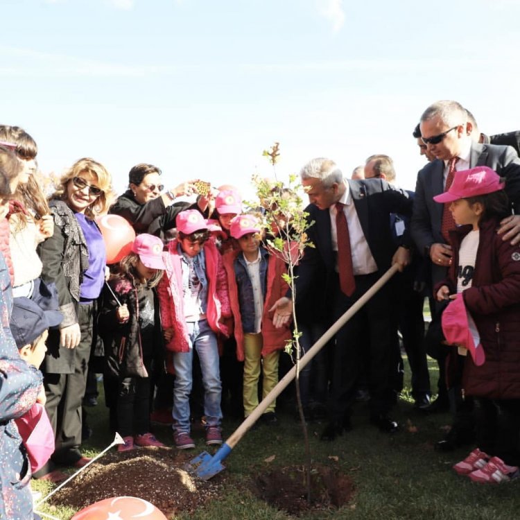 "Tohumdan Fidana Bir Kurtuluş Hikayesi