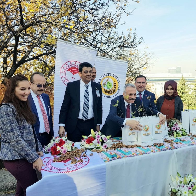 "Tohumdan Fidana Bir Kurtuluş Hikayesi